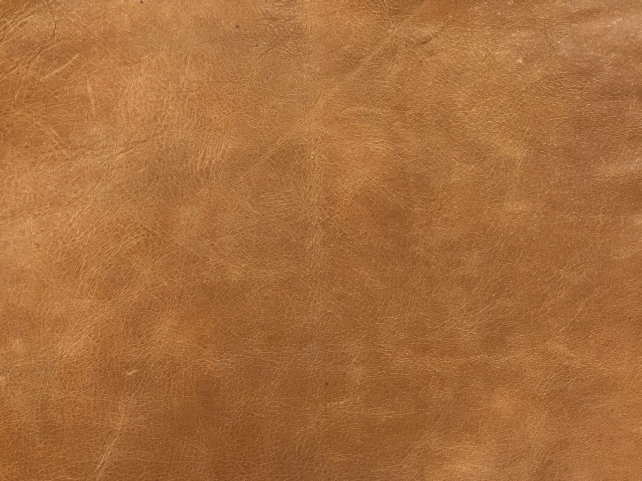 Leather Tan-M2831K